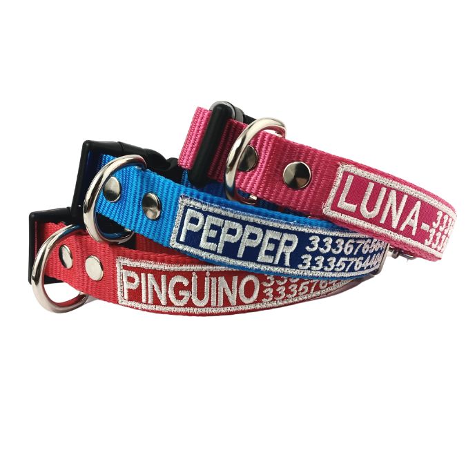Collar rojo con nombre